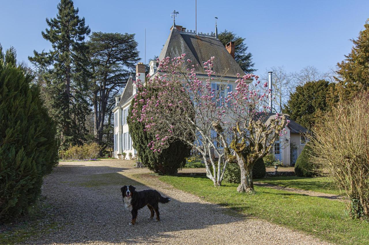 Manoir De La Voute Maison D'Hotes Pouillé Eksteriør bilde